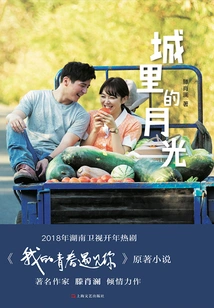 Moonlight in the City