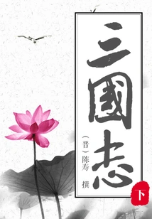 Romance of the Three Kingdoms (part 2)