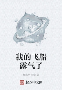 My Spaceship is Deflated