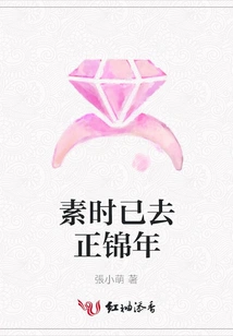 Su Shi Has Passed the Zhengjin Year