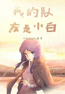 My Teammate is a Novice