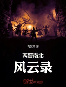 Records of the Northern and Southern Dynasties in the Two Jin Dynasties