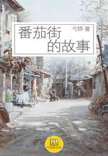 The Story of Tomato Street (a Good Chinese Novel)