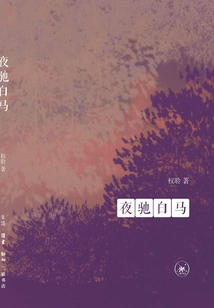 White Horse Galloping at Night