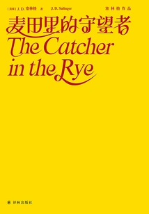 The Catcher in the Rye (salinger)