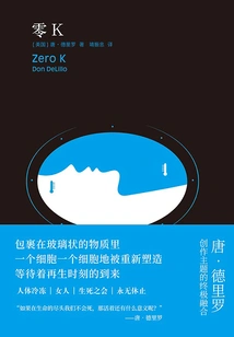 Zero K (work by Delillo)