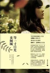 Waiting for an Inch of Sunlight to Come to the City