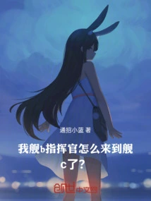 Why Did the Commander of Our Ship B Come to Ship C?