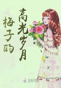 Mei Zi's Divorce Years