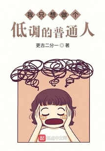 I Just Want to Be a Low-key Ordinary Person