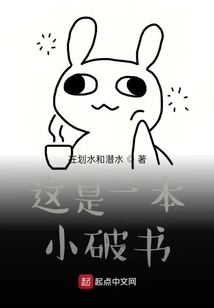 This is a Little Shabby Book