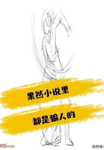 Sure Enough, Everything in the Novel is a Lie