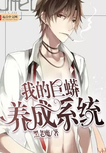 My Python Development System