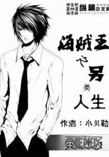 One Piece: Another Life