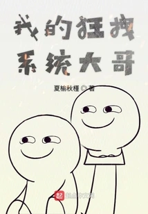 My Crazy System Brother