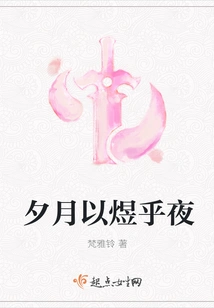 The Evening Moon Shines Brightly into the Night