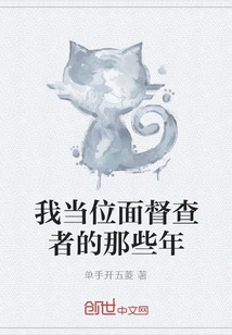 My Years as a Plane Inspector