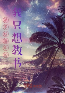 I Was Selected by the System and Just Wanted to Teach