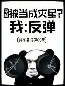 Is Time Travel Regarded as a Disaster? Me: Rebound