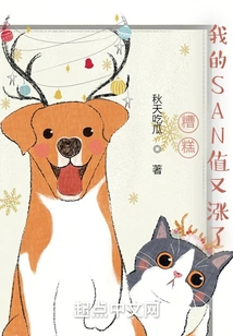 Oops, My San Value Has Gone up Again