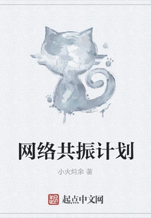 Network Resonance Plan