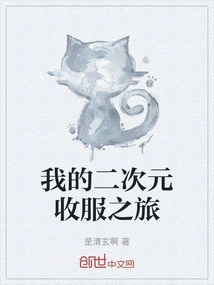 My Journey to Conquer the Second Dimension