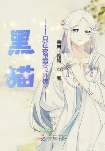 Black Cats Only Cry at Night Side Story