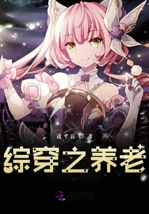 Comprehensive Pension for the Elderly