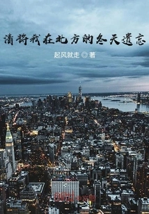 Please Forget My Winter in the North