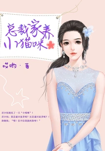 President's Domestic Kitten