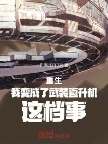 What Happened When I Was Reborn as a Gunship?