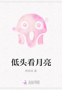 Look Down at the Moon