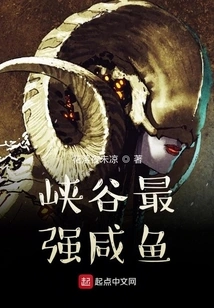 A Mess in the Canyon