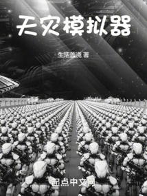 Natural Disaster Simulator