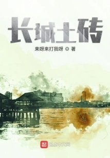 Great Wall Adobe Bricks