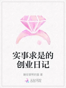 A Practical Entrepreneurial Diary