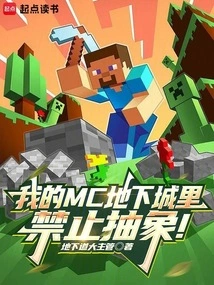 Abstraction is Prohibited in My Mc Dungeon!