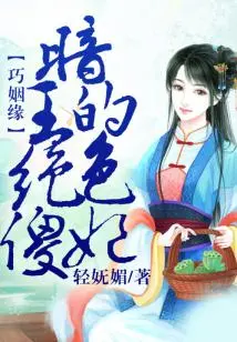 A Coincidence of Marriage, the Dark King's Stunning and Silly Concubine