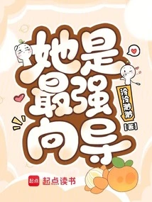 The Evil Guide is Trapped in the Sentinel Shura Field