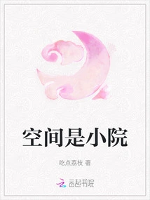 The Space is a Small Courtyard