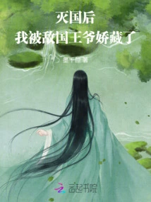 After the Country Was Destroyed, I Was Hidden by the Enemy King