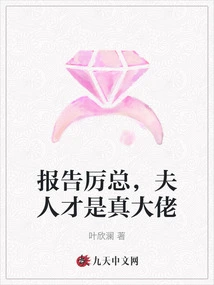 Report to Mr. Li, Madam is the Real Boss