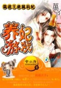 Princess Raising Game