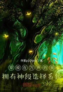 Traveling Across the World, I Have a God-level Selection System