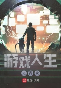 Wheat Nugget of Game Life