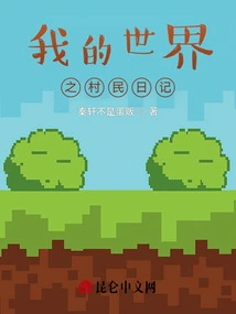 Minecraft Villager Diary