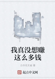 I Really Didn't Want to Make so Much Money