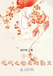 The Shadow Guard Picked up in Modern Times