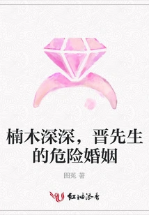 Nanmu is Deep, Mr. Jin's Dangerous Marriage