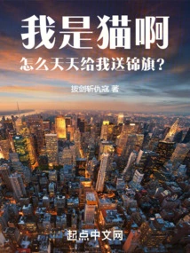 I Am a Cat, Why Do You Send Me Banners Every Day?